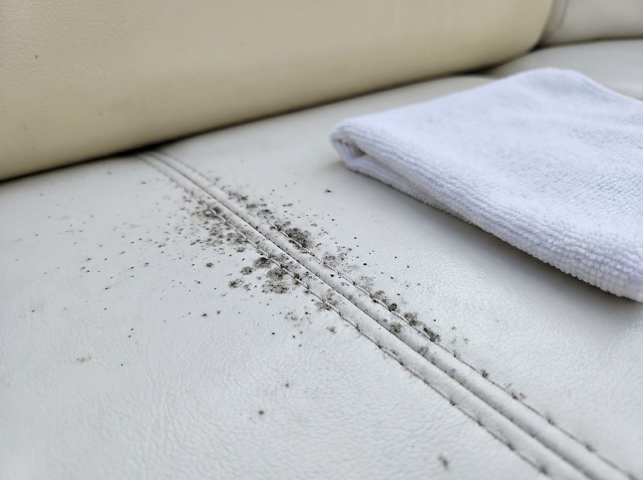 mold staining along marine vinyl seat seam before biocide cleaning treatment