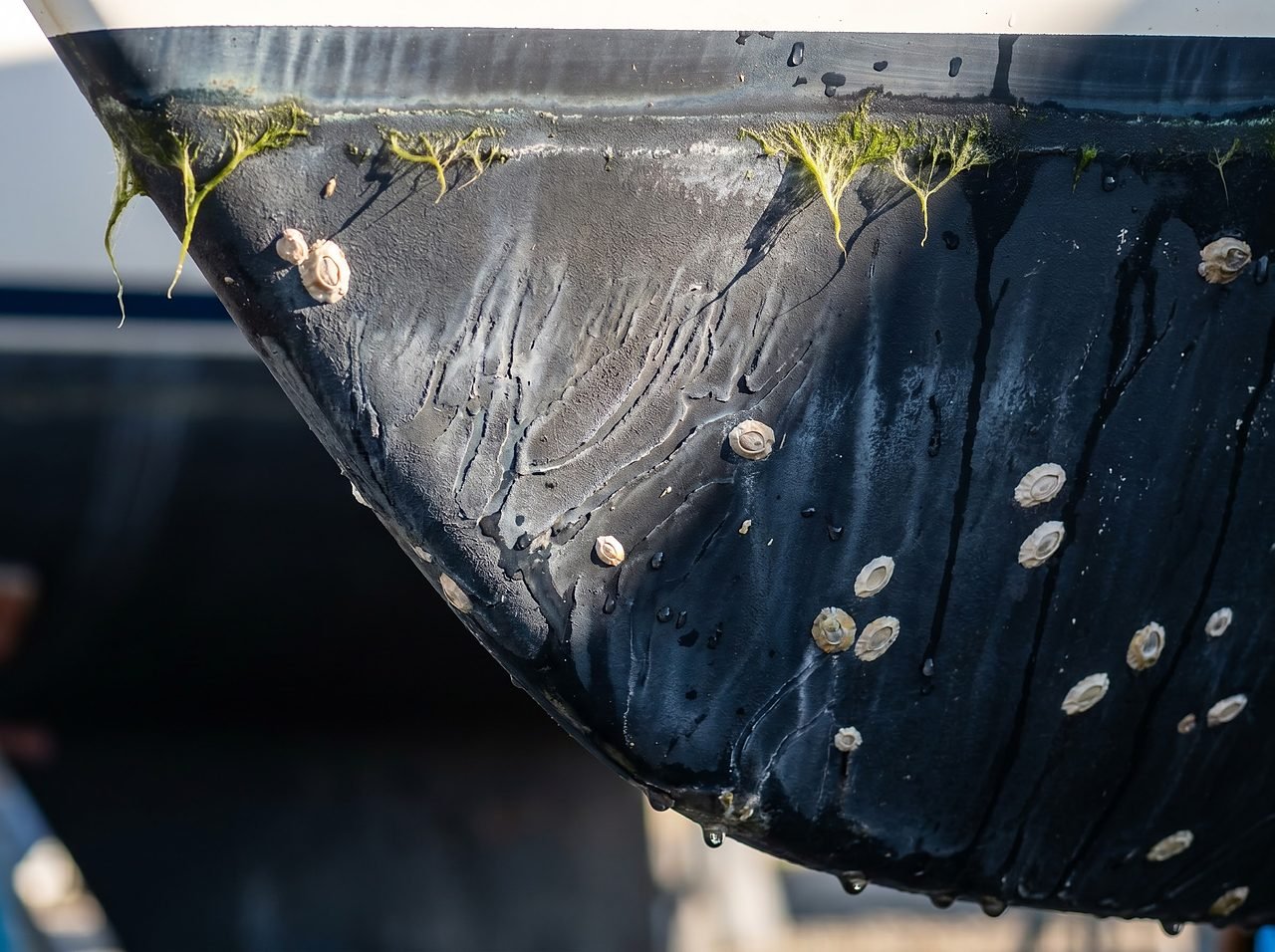 Close-up of ablative bottom paint surface showing self-polishing erosion and barnacle ghost marks after haul-out